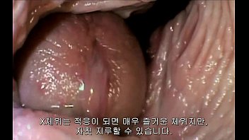 A.Girl&#039_s.Guide.To.21st.Century.Sex.6