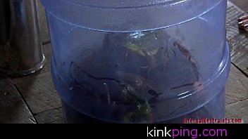 Frogged Down Frogged Down