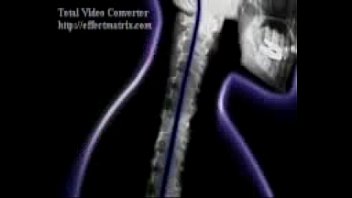 Inseminate Inseminate