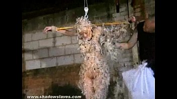 Feathered Asian Bondage And Bizarre Japanese Domination Of Tied Up Kumimonster Feathered Asian Bondage And Bizarre Japanese Domination Of Tied Up Kumimonster