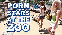 BANGBROS Sexy Pornstars Invade Famous & Fuck Keeper BANGBROS Sexy Pornstars Invade Famous & Fuck Keeper