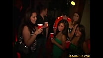 Party Sweet Babe Sucking And Fucking Slut Party Sweet Babe Sucking And Fucking Slut